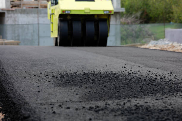 Best Residential Paver Driveway  in Banner Hill, TN