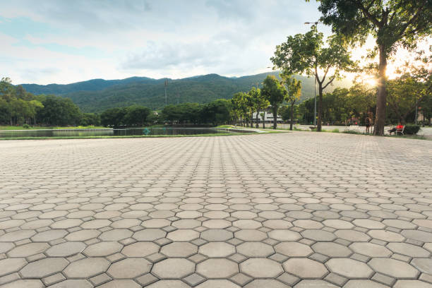 Best Best Driveway Pavers  in Banner Hill, TN