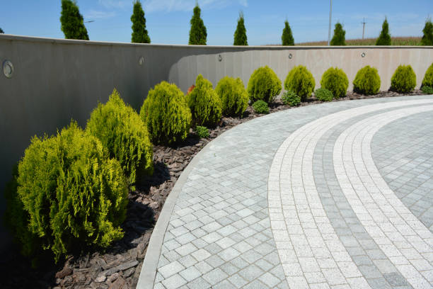 Best Driveway Pavers Contractor  in Banner Hill, TN